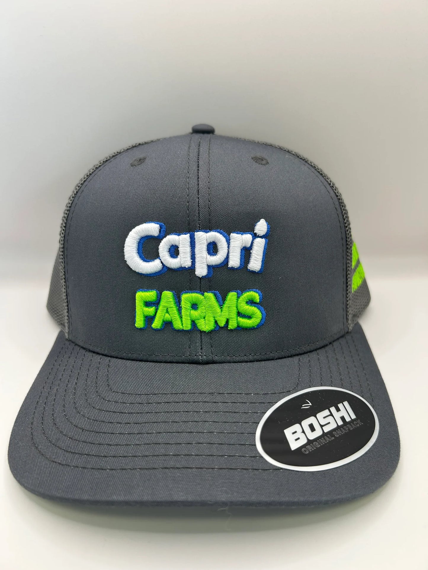 CAPRI FARMS, OG 3D CAP, GREY