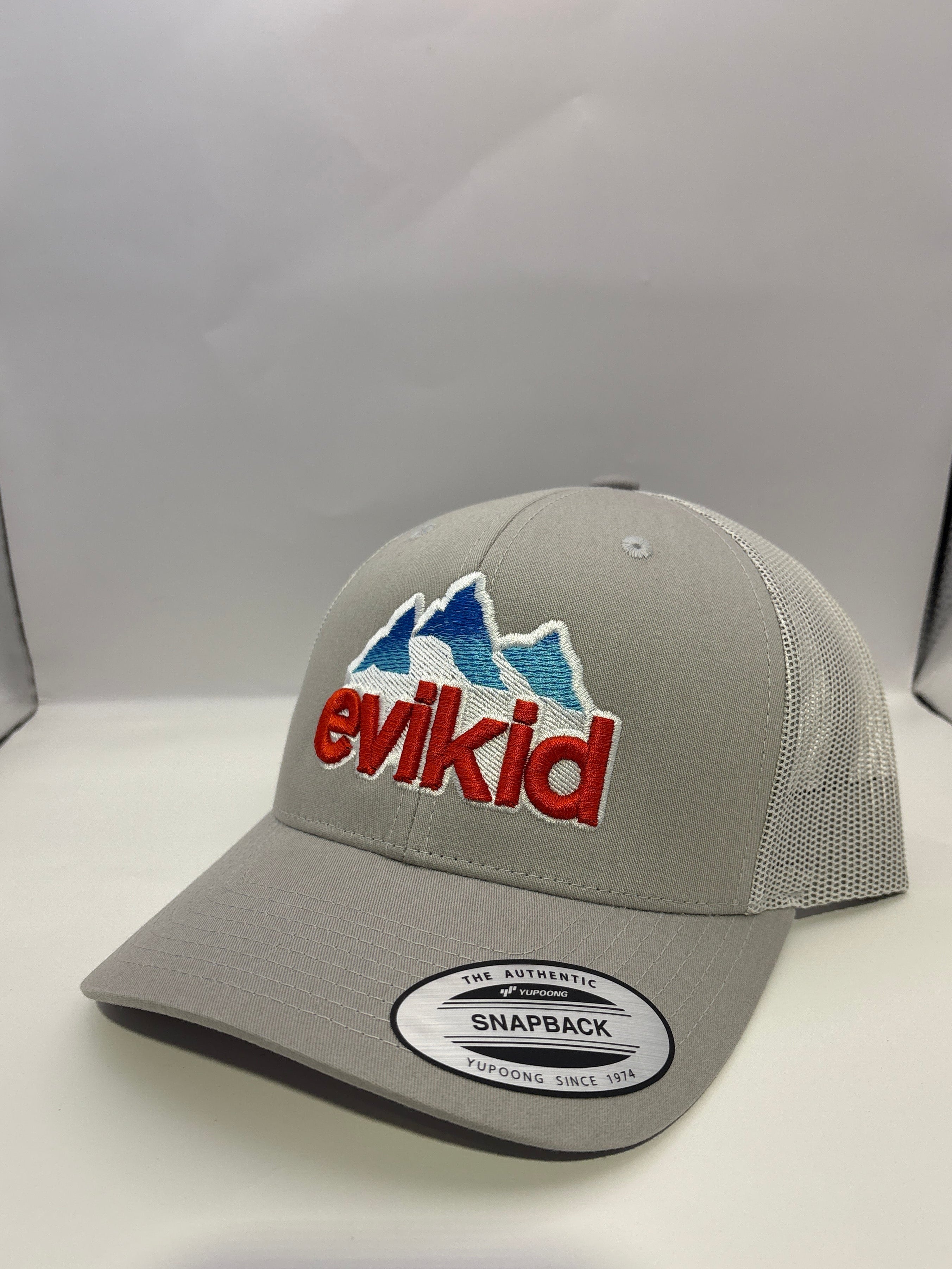 Evikid logo cap - grey