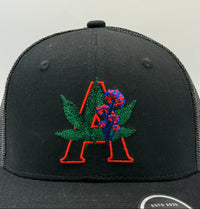 ORAKL Amsterdam Cap - Black