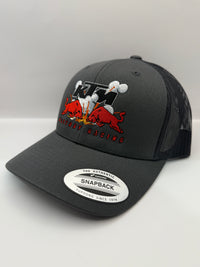 KTM RED BULL RACING CAP, GREY
