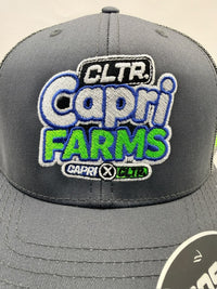 Capri Farms x CLTR. New Logo - Grey